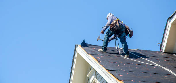 Best Roof Installation Near Me  in Westland, MI